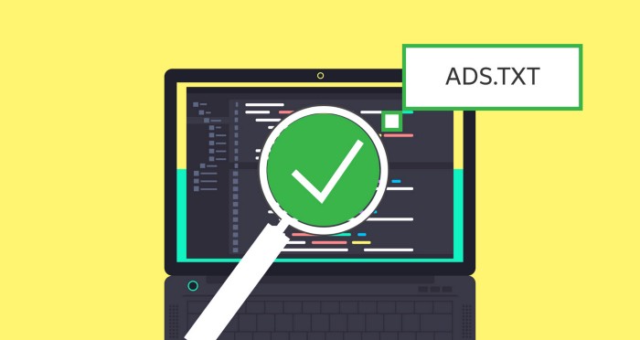 ads.txt adoption image